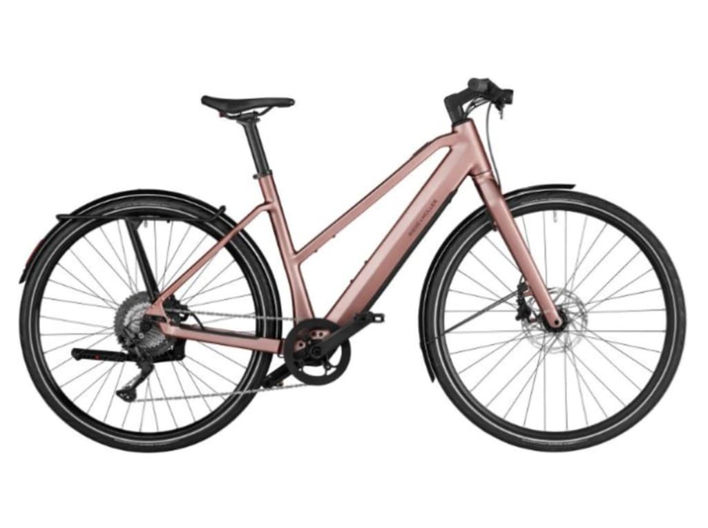 Riese and Muller UBN Seven touring (Base Model)