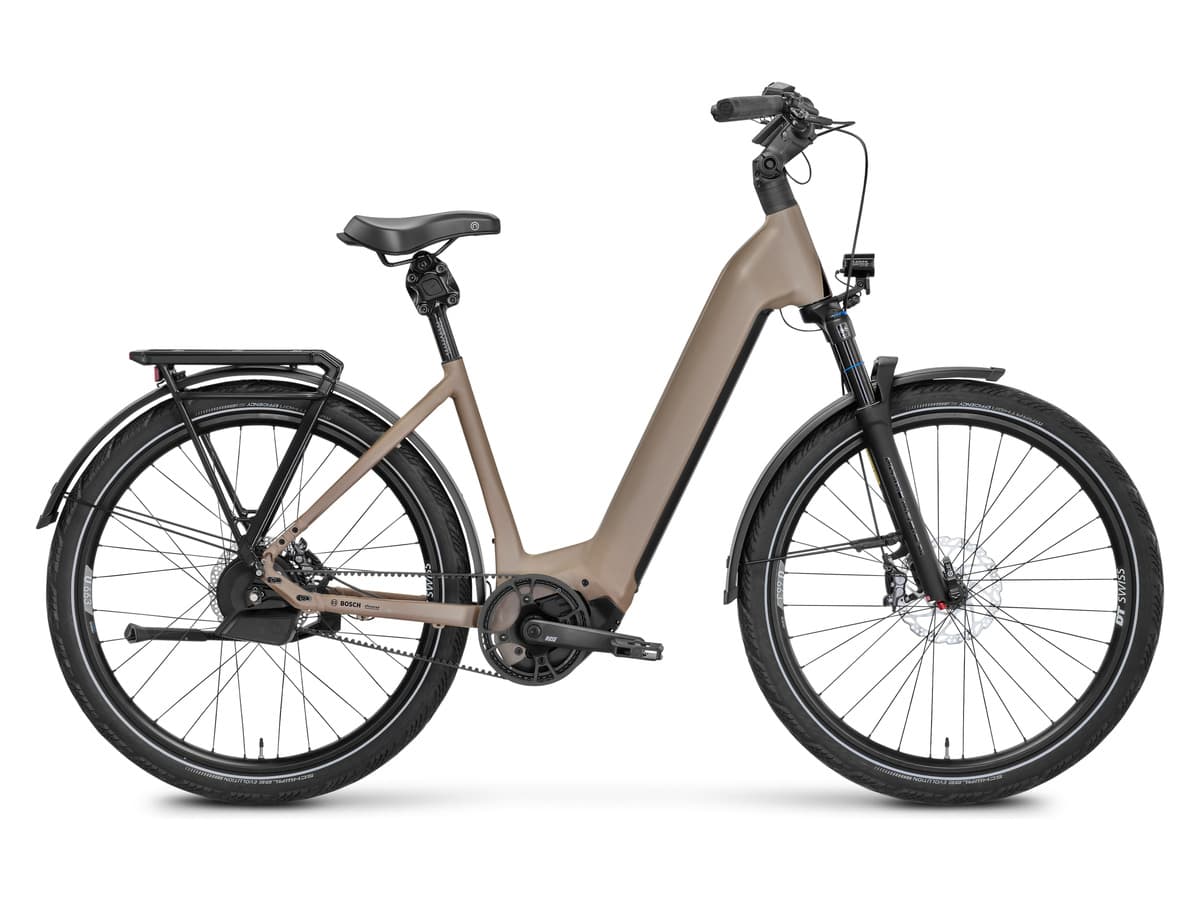 Rose Mayor Plus 3 (Low-Step)