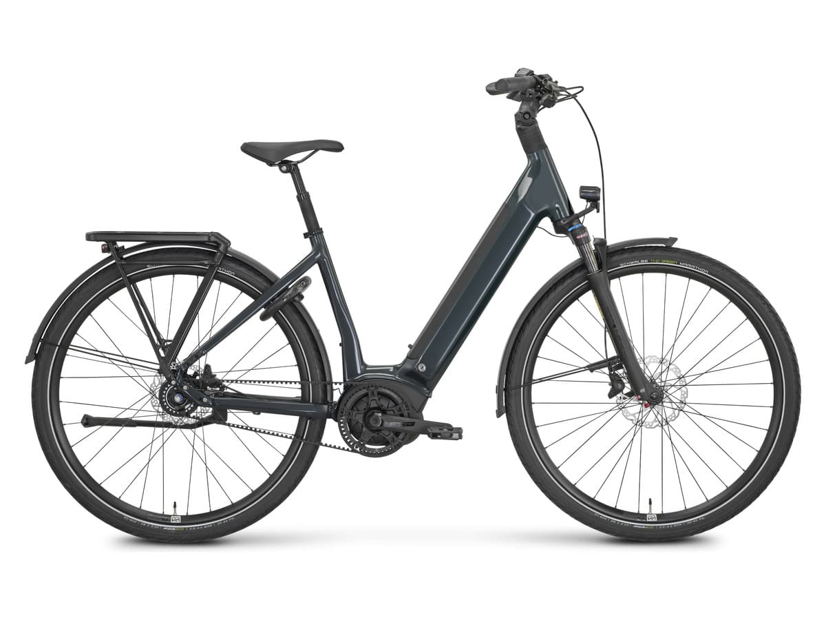 Rose Xtra Watt Plus 2 (Low-Step)