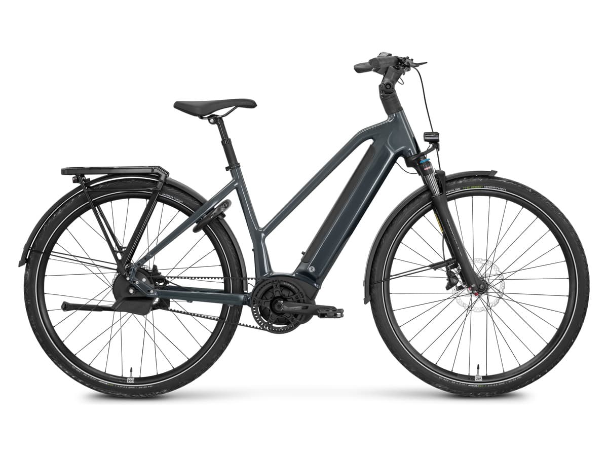 Rose Xtra Watt Plus 3 (Mid-Step)