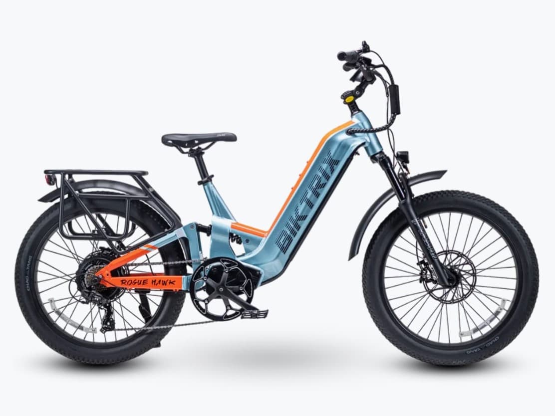 Biktrix RogueHawk FS Step-Thru 2