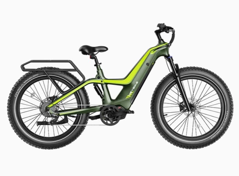 Heybike Hero (1000w Rear Hub)